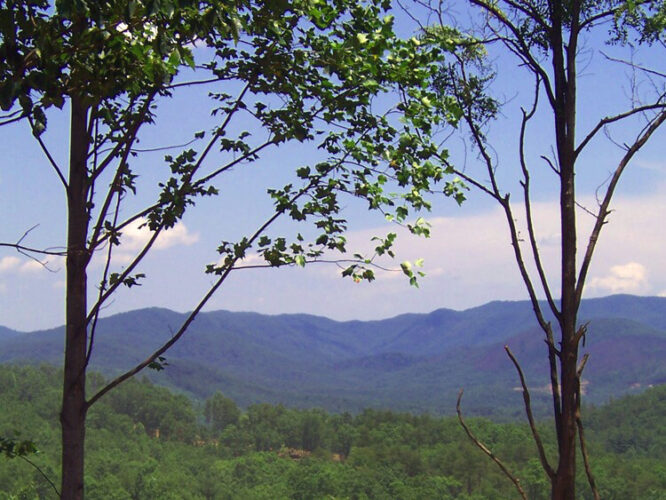 Limestone Ridge Properties