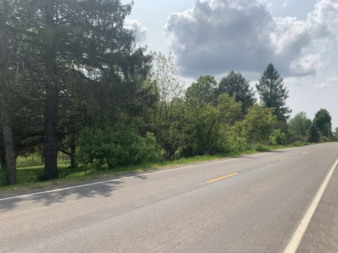 Limestone Ridge Properties